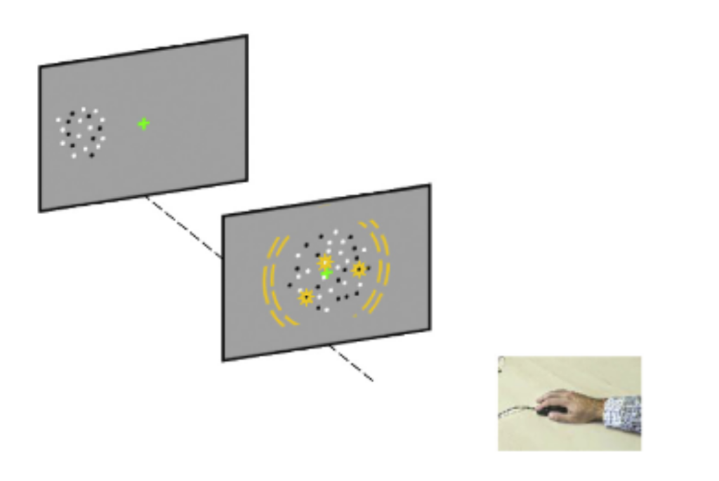 rappresentazione test discalculia